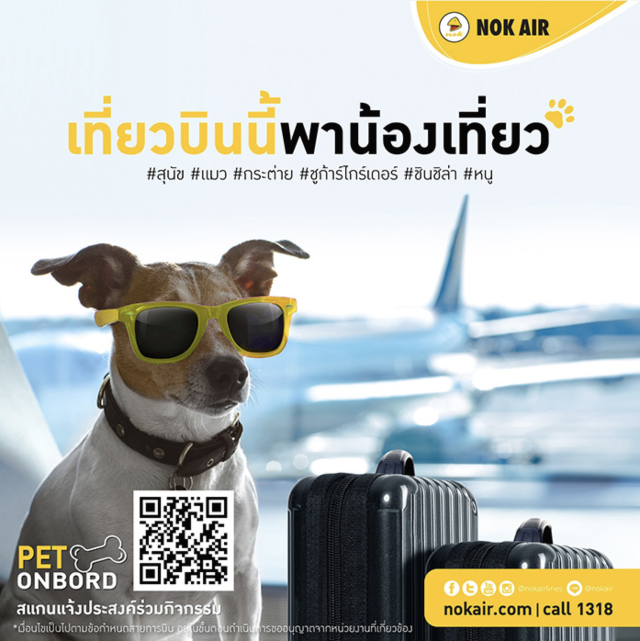 태국 오미크론 상황 12월 23일 - 태국 애완동물 동석 비행을 계획