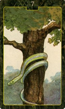 [레노먼드카드배우기]7.Snake 뱀 해석 및 의미