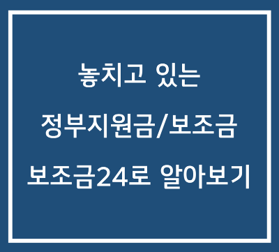 정부지원금 신청 - 보조금24를 통해 놓치고 있는 정부 지원금 찾아보기