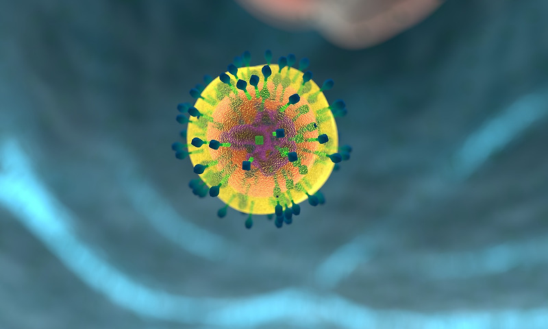 면역을 담당하는 세포 (호중구, 대식세포, B세포, T세포)