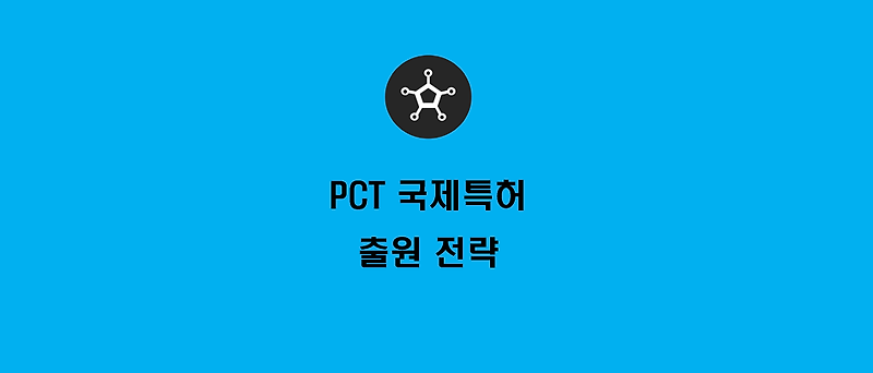 PCT 국제특허 출원 전략
