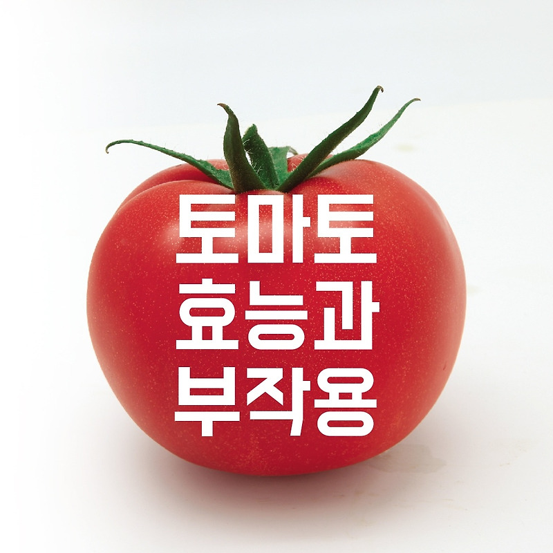 토마토 효능 5가지, 과일일까 채소일까?