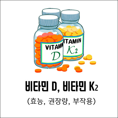 현대인의 필수영양제 비타민D, K2 에대한 모든것 (효능, 권장량, 부작용)