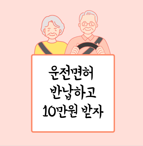 운전면허 자진 반납  10만원권 교통카드 지원사업 대상자, 방법, 서울시