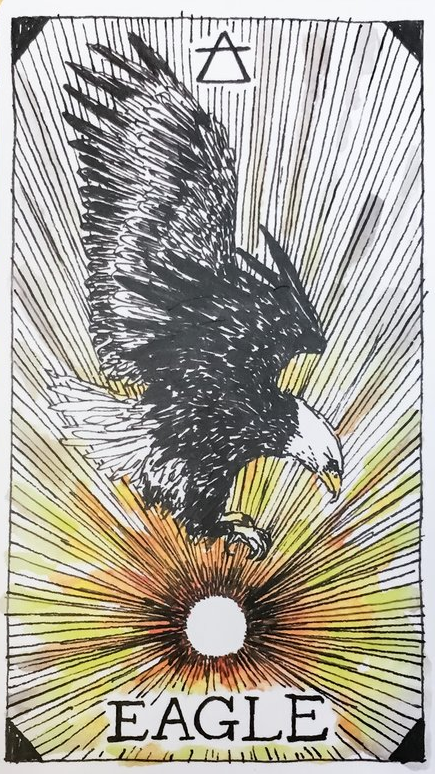 [오라클카드배우기/와일드언노운애니멀스피릿]The Wild Unknown Animal Spirit Eagle  독수리 해석 및 의미