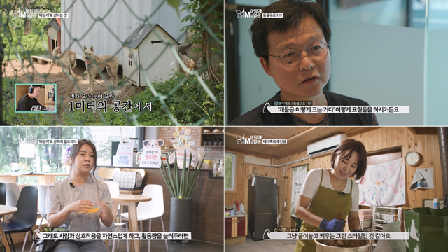 TRA Media, '마당개 1미터의 일생' 방송... 