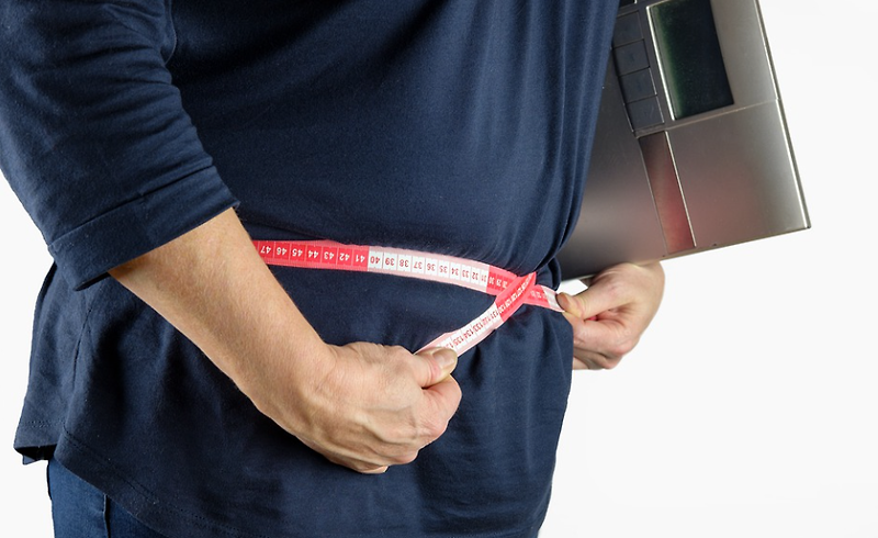 프로바이오틱스가 체중 감소 및 뱃살 줄이는데 효과적이라고?