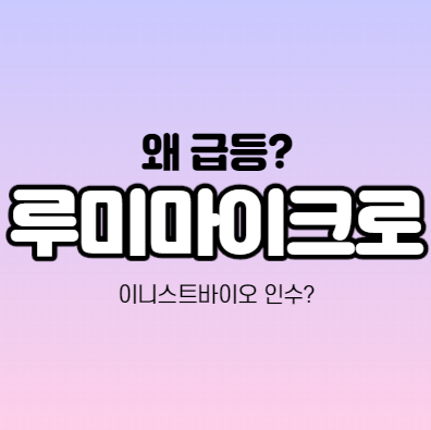 루미마이크로 어떤 기업인가요? 루미마이크로 급등이유 분석