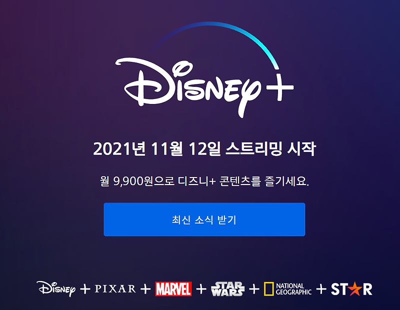 디즈니 플러스 OTT, 디즈니 채널 한국 상륙
