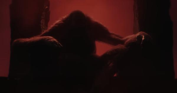 고지라 신작 발표 - Godzilla x Kong (2024)