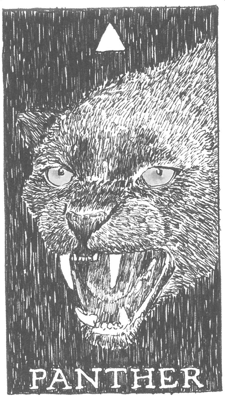 [오라클카드배우기/와일드언노운애니멀스피릿]The Wild Unknown Animal Spirit Panther 흑표범 해석 및 의미