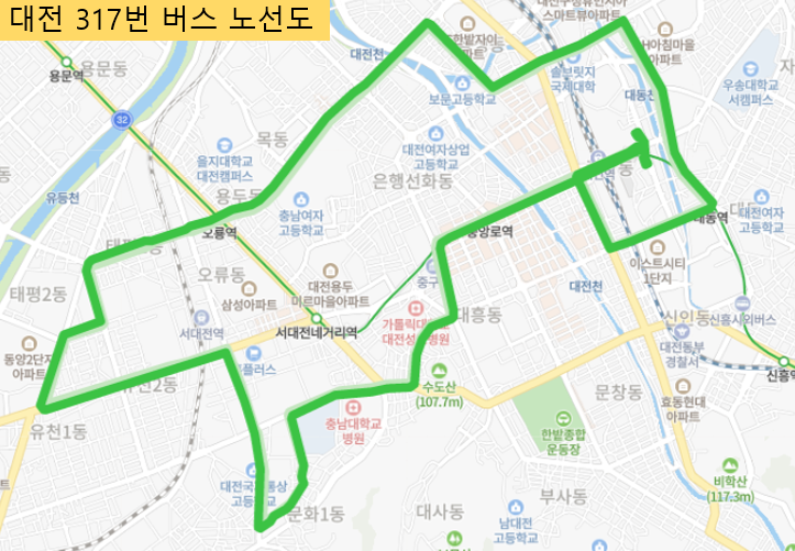 [대전] 317번  버스 시간표,  노선 정보 : 대전역, 중앙시장, 충남대병원, 중앙로역