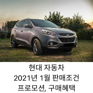현대자동차(현대차) 2021년 1월 판매조건및 프로모션, 구매혜택.