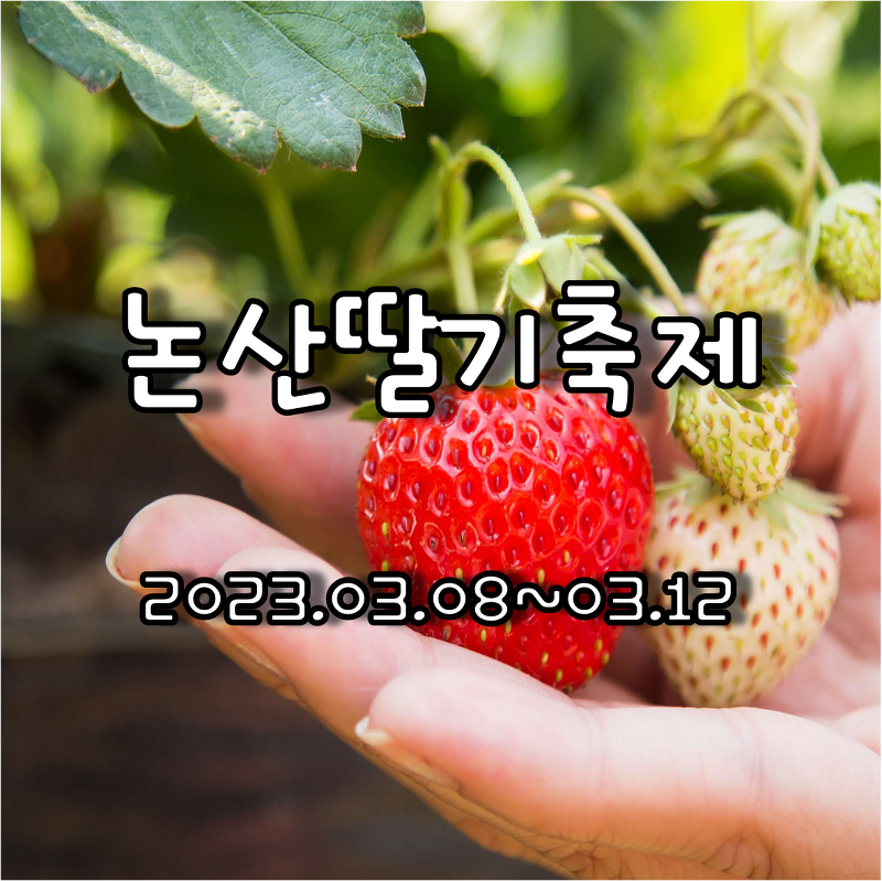 세계 딸기 엑스포를 향한 달콤한 유혹 논산딸기축제 일정