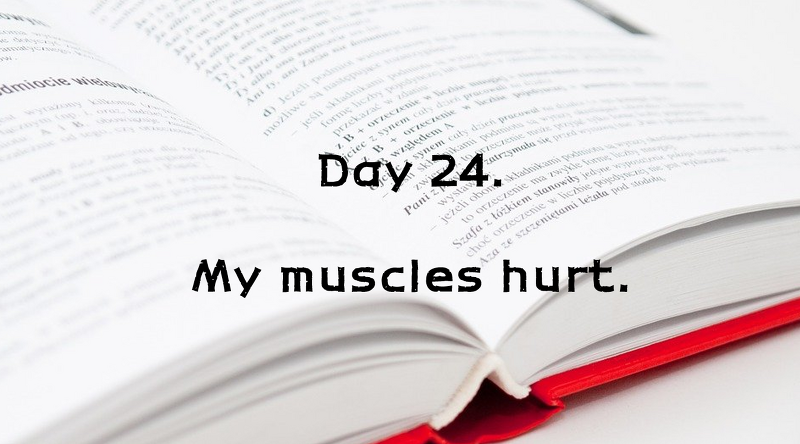 Day 24. My muscles hurt.