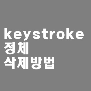 secure keystroke 4.0 정체와 삭제방법