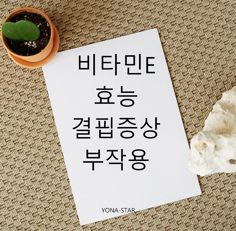 비타민E 효능 / 결핍증상 / 부작용