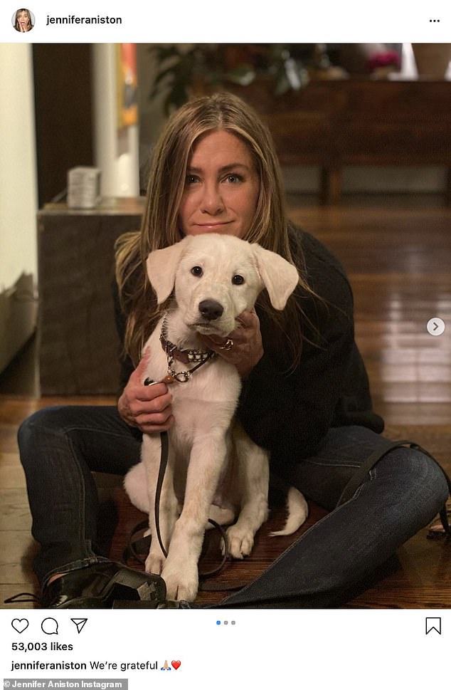 제니퍼 애니스톤 (Jennifer Aniston) 추수감사절에 집에 있는 동안 그녀의 새로운 개 로드 체스터필드와 함께 합니다.