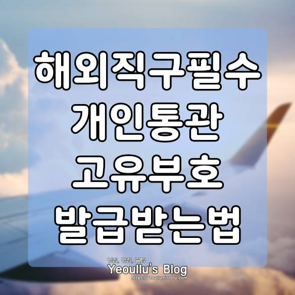 개인통관고유부호 발급받는 방법, 해외직구 이용 위한 첫번째 단계