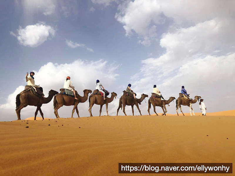 사하라 사막 (메르주가)를 빨리 쉽게 가는 방법(비행기-버스or택시 루틴)