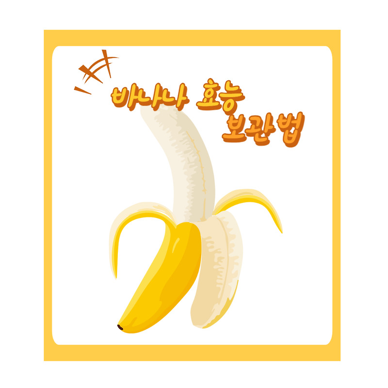 바나나 효능과 올바른 보관법