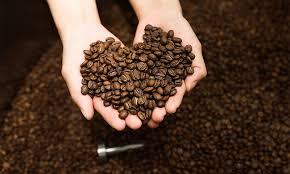 우리가 커피를 마실때 절대로 커피에 넣으면 않되는 최악의 재료5가지(건강정보)