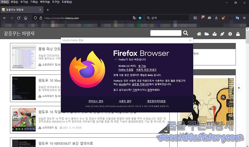 모질라 파이어폭스 89.0.1 보안 업데이트