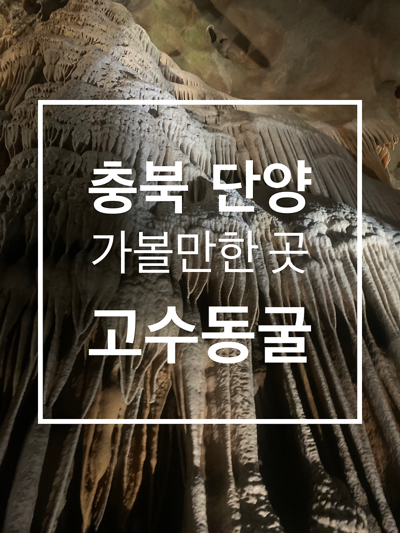 [단양 여행] 고수동굴