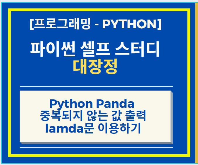 Python Panda 중복되지 않는 값 출력 및 lamda 문 이용하기