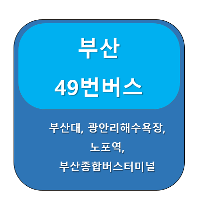 부산 49번 버스 노선 정보 노포동 ↔ 광안리해수욕장