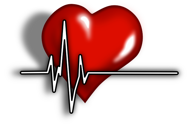 심장질환에 좋은 음식! 식이섬유 효능, 섭취방법 & 식이섬유가 많은 음식  알아보고 심장질환 위험률 낮춰보자!