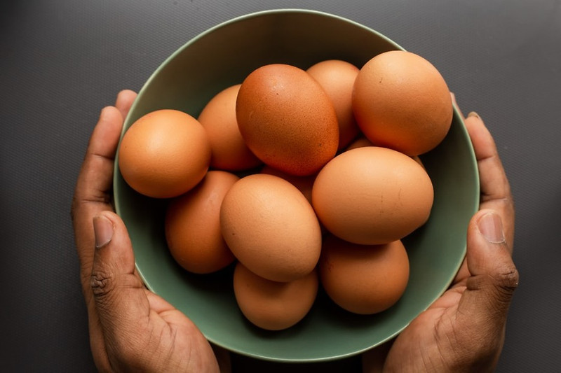 [건강] 달걀로 인한 효능 효과