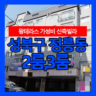 성북구 정릉동 2룸,3룸 왕테라스가 있는 신축빌라 추천!!