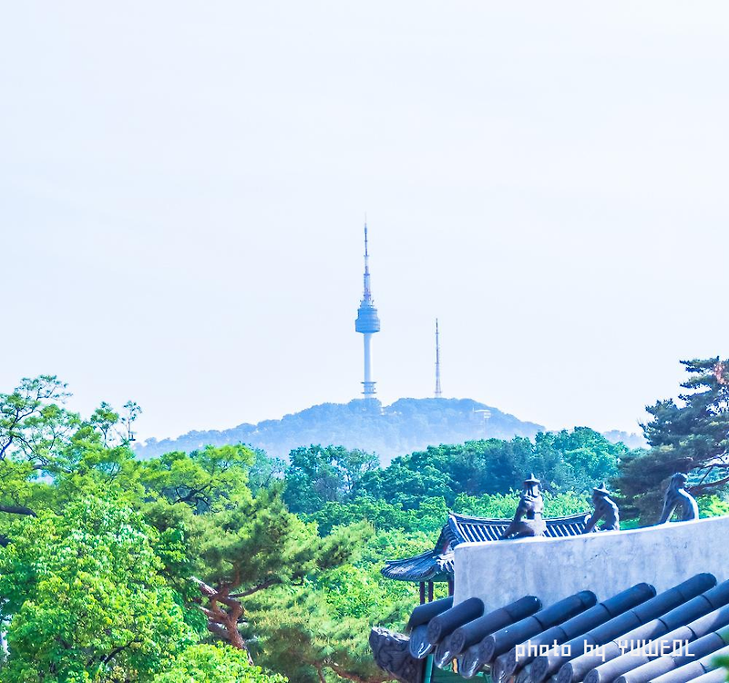 창경궁에서 바라본 남산타워