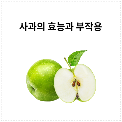 과일 사과를 먹을경우 생기는 효능과 부작용