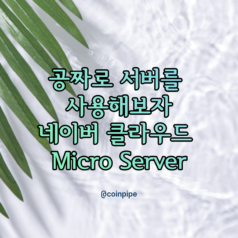 네이버 클라우드 서버 무료로 이용하기 - Micro Server