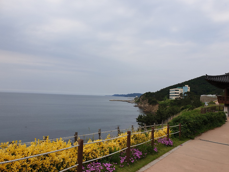 연오랑 세오녀 테마파크에 다녀왔어요!! 바닷가 산책로가 아주 좋아요!!