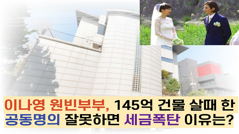 이나영 원빈부부, 145억 건물 살때 한 '공동명의' 잘못하면 세금폭탄 이유는?
