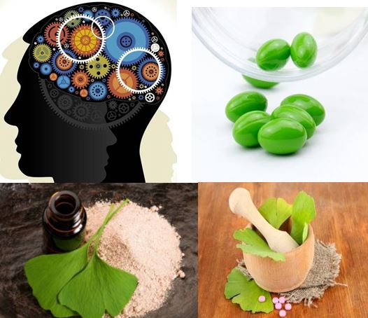 뇌건강 영양제 은행잎추출물(깅코빌로바) 효능 부작용 하루권장량