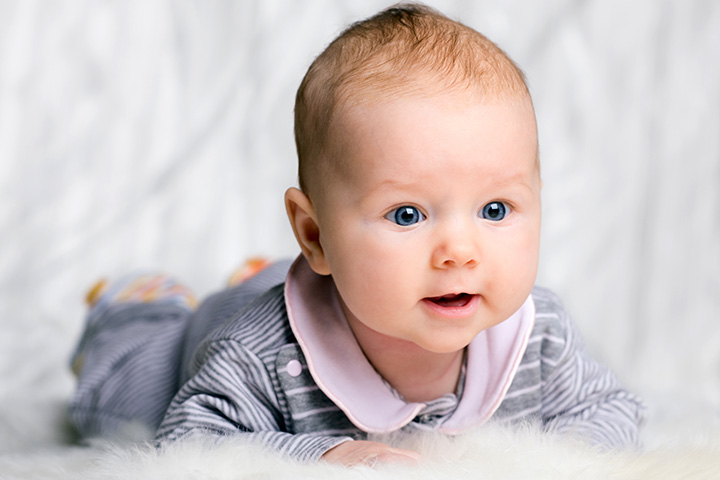 태아 및 신생아의 발달 단계 (Prenatal and Newborn Development)