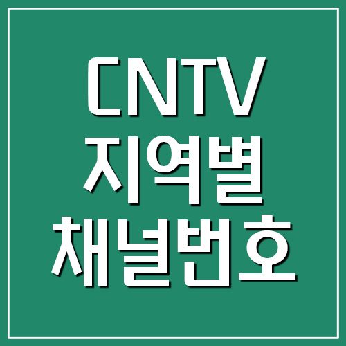 CNTV 지역별 채널번호