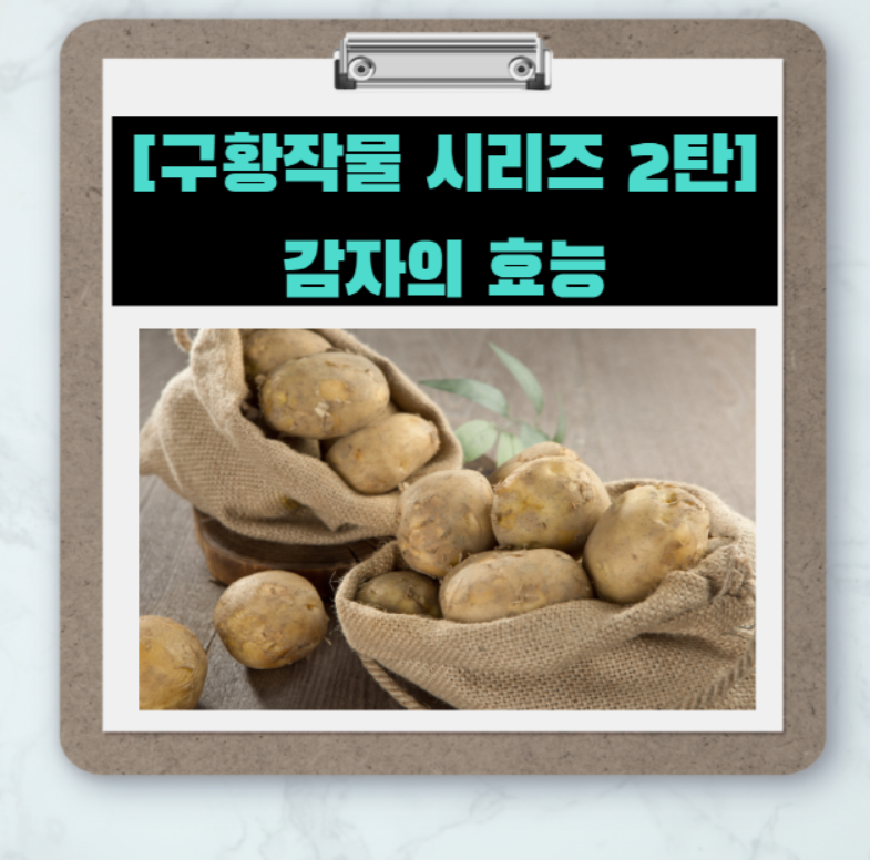 [구황작물 시리즈 2탄] 감자 효능 7가지와 먹는방법