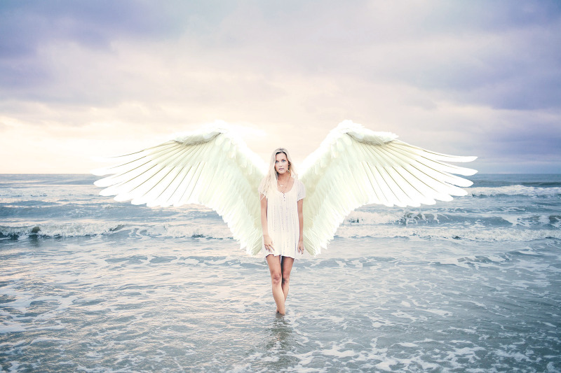 포토샵으로 천사 날개 합성하기