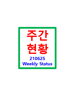 보유종목 주간현황 - 210625