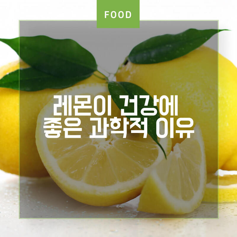 레몬이 건강에 좋은 과학적 이유