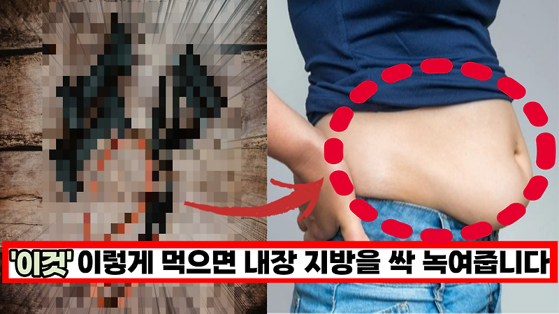 '꿀팁'  이렇게 먹으면 운동 안해도 내장 지방 싹 녹여줍니다.