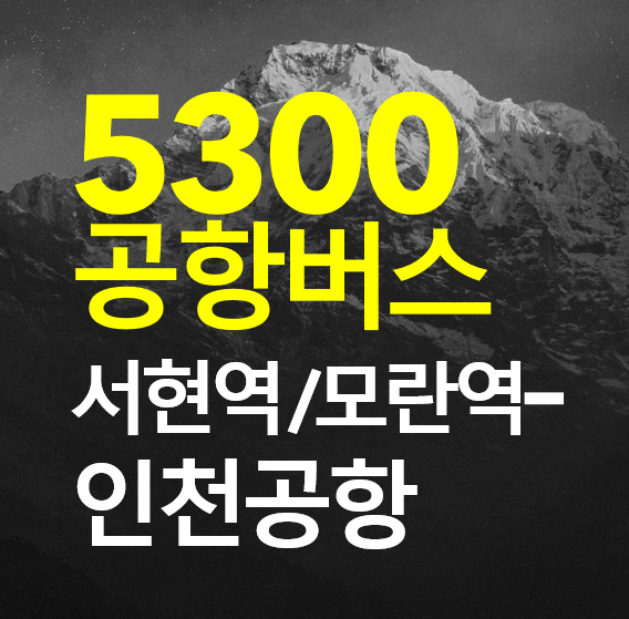 분당/서현역/모란역 - 인천공항 5300 공항버스 시간표, 예약하는 방법