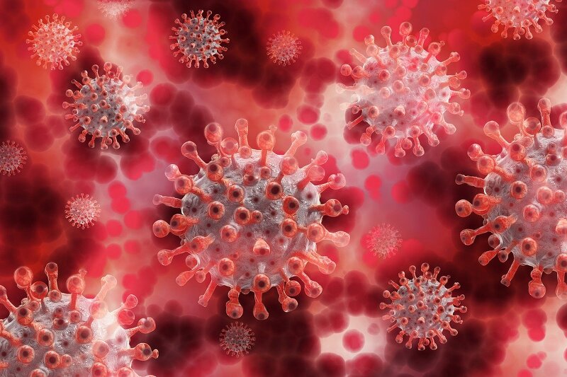 인도에서 코로나19 변이 바이러스 발견되다. [타로타로]