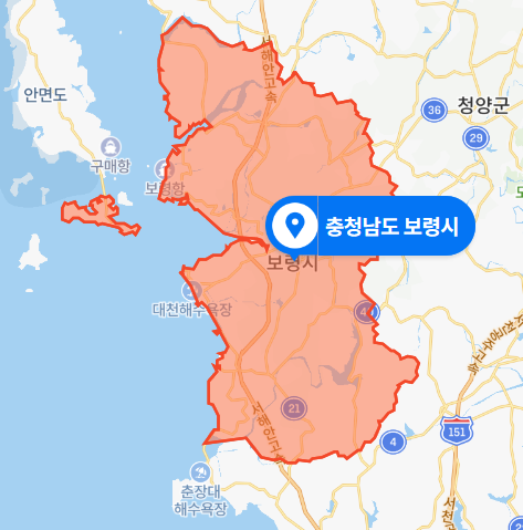 충남 보령시 오천북항 승용차 추락사고 (2020년 11월 17일)