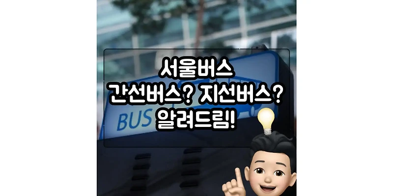 서울 버스 이해하기: 간선버스와 지선버스 비교